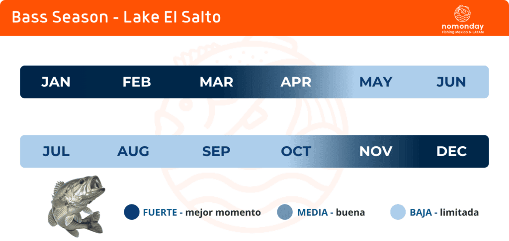 Lake el Salto Fishing Calendar