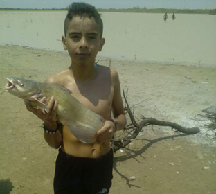 Captura de bagre en pesca de Orilla en Presa el Rejon en Chihuahua Chihuahua Mexico 01