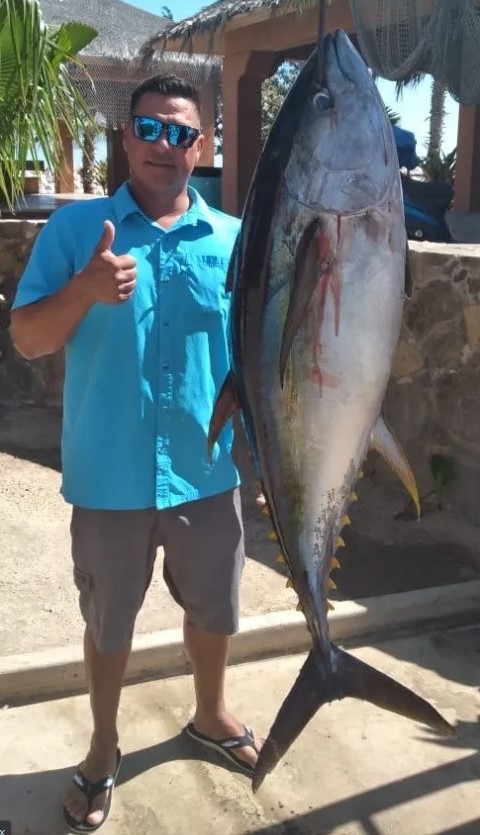 Atún capturado en San José del Cabo