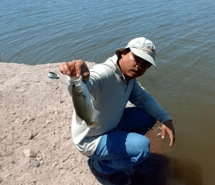 captura de lobina en pesca de orilla presa chihuahua 01