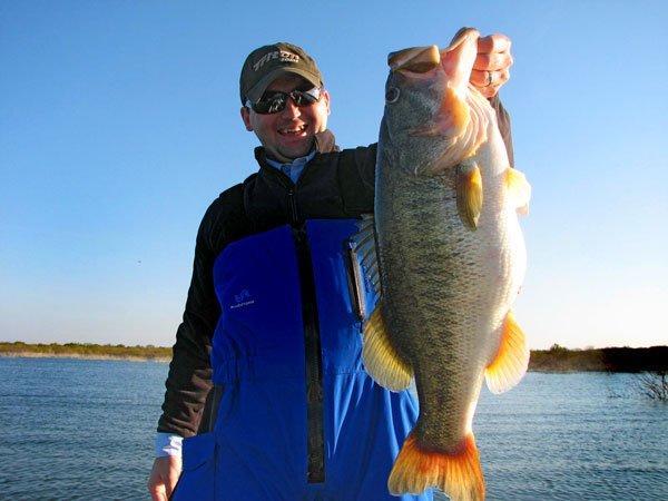 Tommy Law sostiene su lubina récord de 7.08kg (15,63 libras) en el lago Falcon (1/7/11)