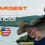 Featured Image Largest Bass Caught in Mexico