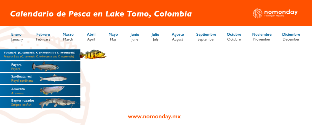 Lake Tomo Colombia Sportfishing Calendar