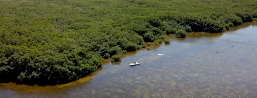 Campeche tarpon fly fishing / Pesca con mosca de sabalo en Campeche