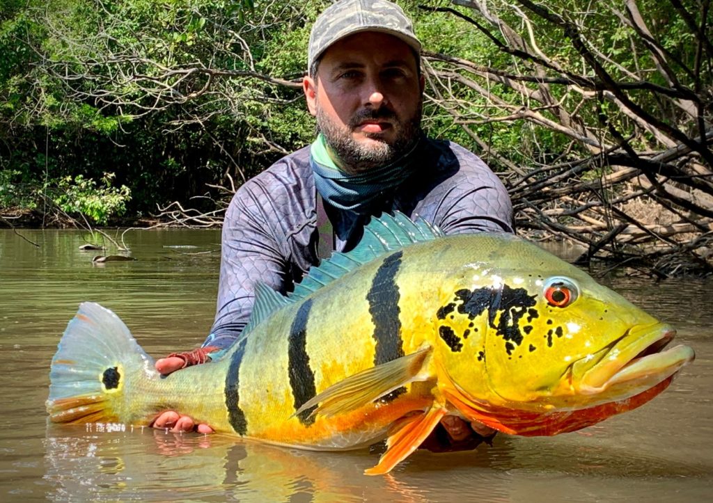 Peacock Bass fishing Colombia