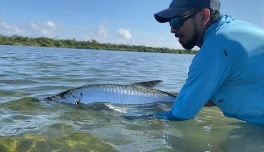 Pescadores descobrem baleias siamesas em laguna no México