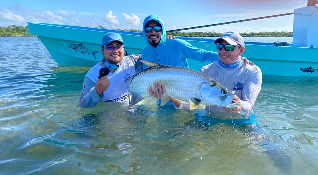 Pescadores descobrem baleias siamesas em laguna no México