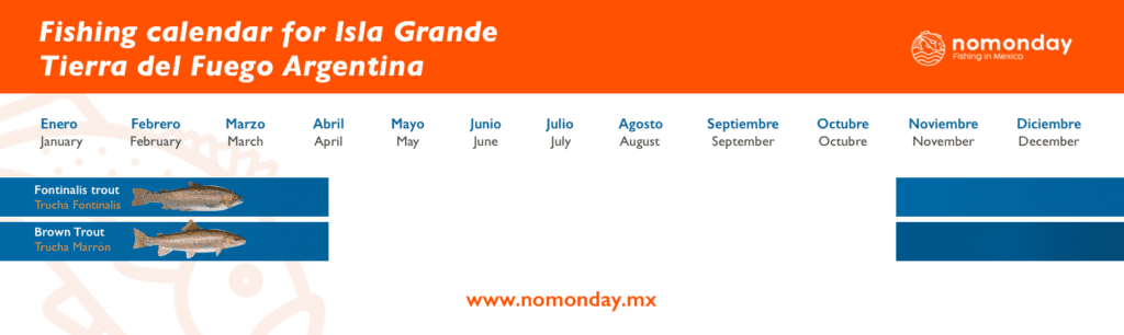 Sport fishing and fly fishing calendar in Isla grandeTierra de fuego Argentina. You can fish for Fontinalis Trout and Brown Trout.