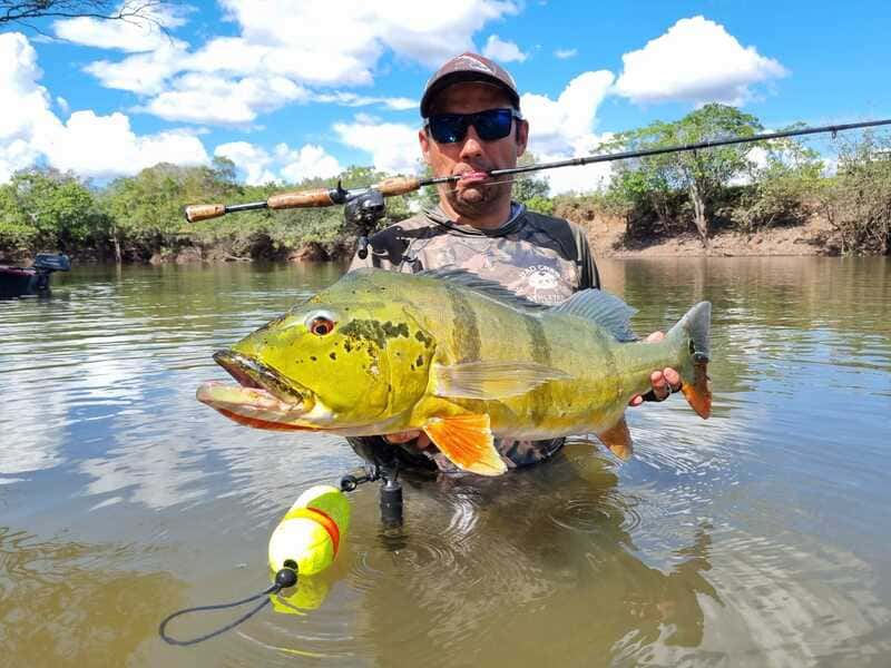 https://www.nomonday.mx/wp-content/uploads/2023/02/Beautifil-peacock-bass-catch-at-Cano-Gavilan-Vichada-Colombia.jpg