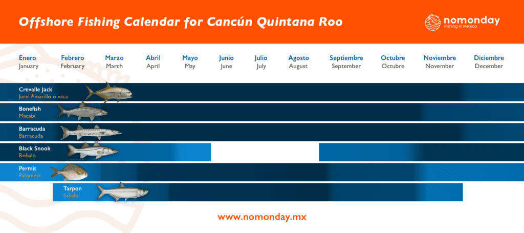 For sport fishing in Cancun Quinta Roo, you can use different fishing techniques such as fly fishing and spinning, You can find various fish such as jack mackerel, barracuda, black snook, permit, tarpon among others. Nomonday fishing in Mexico calendar Fly fishing in Ascension Bay in Punta Allen, Quintana Roo, Mexico.
