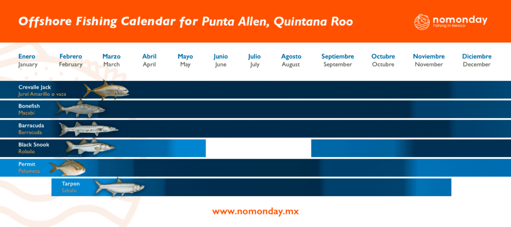 Sport fishing calendar in Punta Allen Quinta Roo. you can catch all kind of fish and use techniques like fly fishing and spining, You can find various fish such as jack mackerel, barracuda, black snook, permit, tarpon among others. Nomonday fishing in Mexico