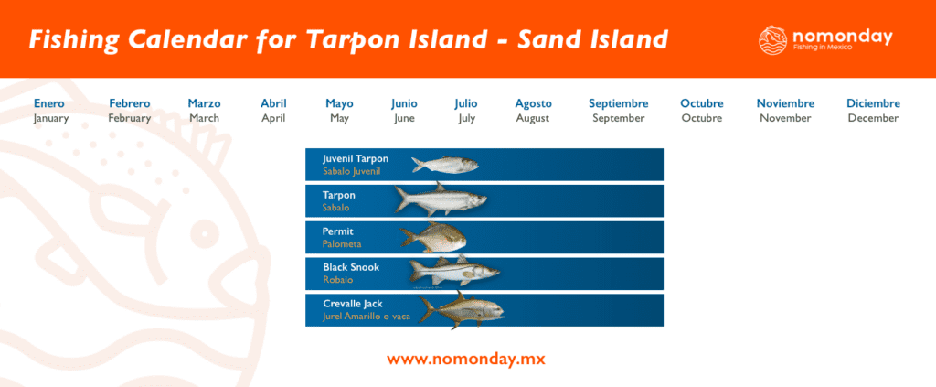 Fishing Season Tarpon island