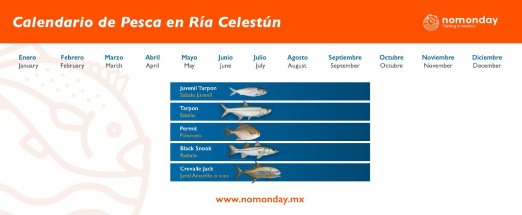Calendario de pesca Celestún
