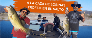 a la caza de lobinas - portada articulo