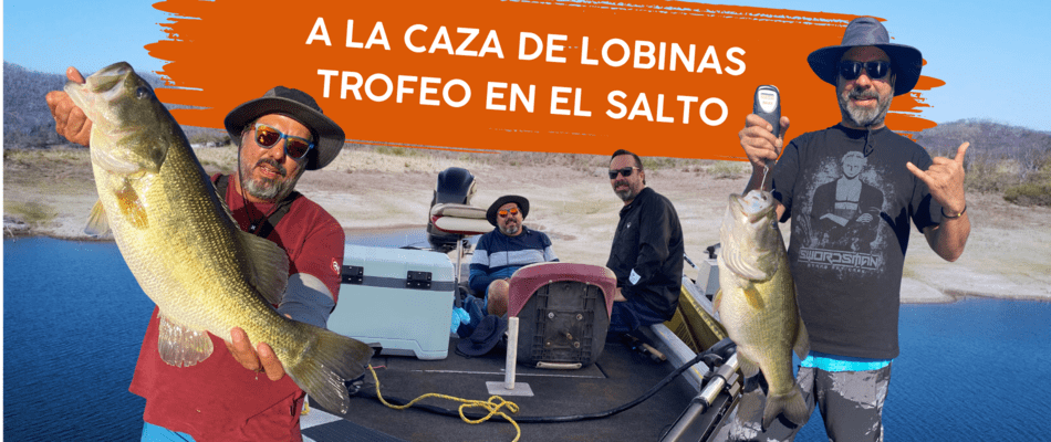 a la caza de lobinas - portada articulo