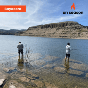 On season fishing in Lake Bayacora