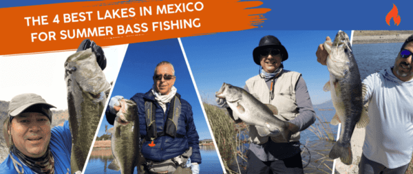 The four Best Lakes in Mexico for Summer Bass Fishing ⋆ Nomonday