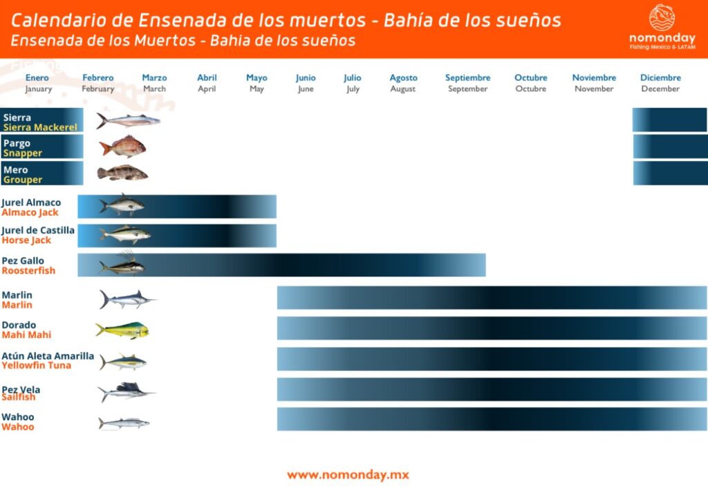 Fishing season calendar in Ensenada de los Muertos - Bahia de los sueños - La paz