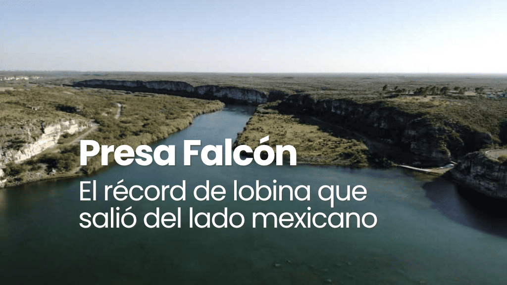 El record de lobina que salio del lado mexicano
