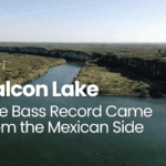 The bass record Came from the Mexican Side