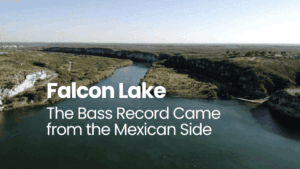 The bass record Came from the Mexican Side