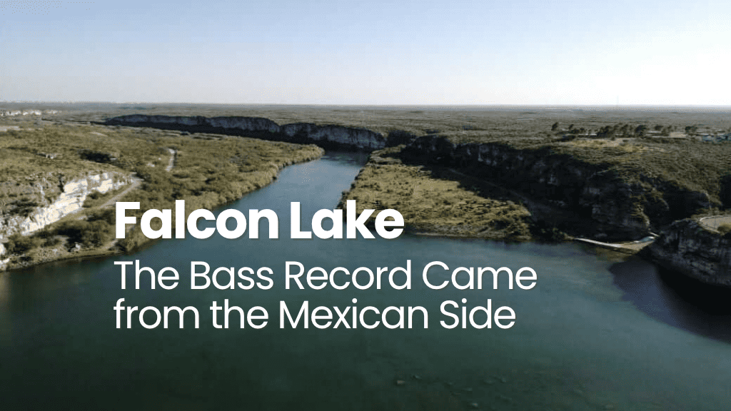 The bass record Came from the Mexican Side